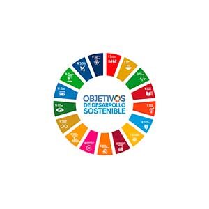 Objetivos de desarrollo sostenible logo